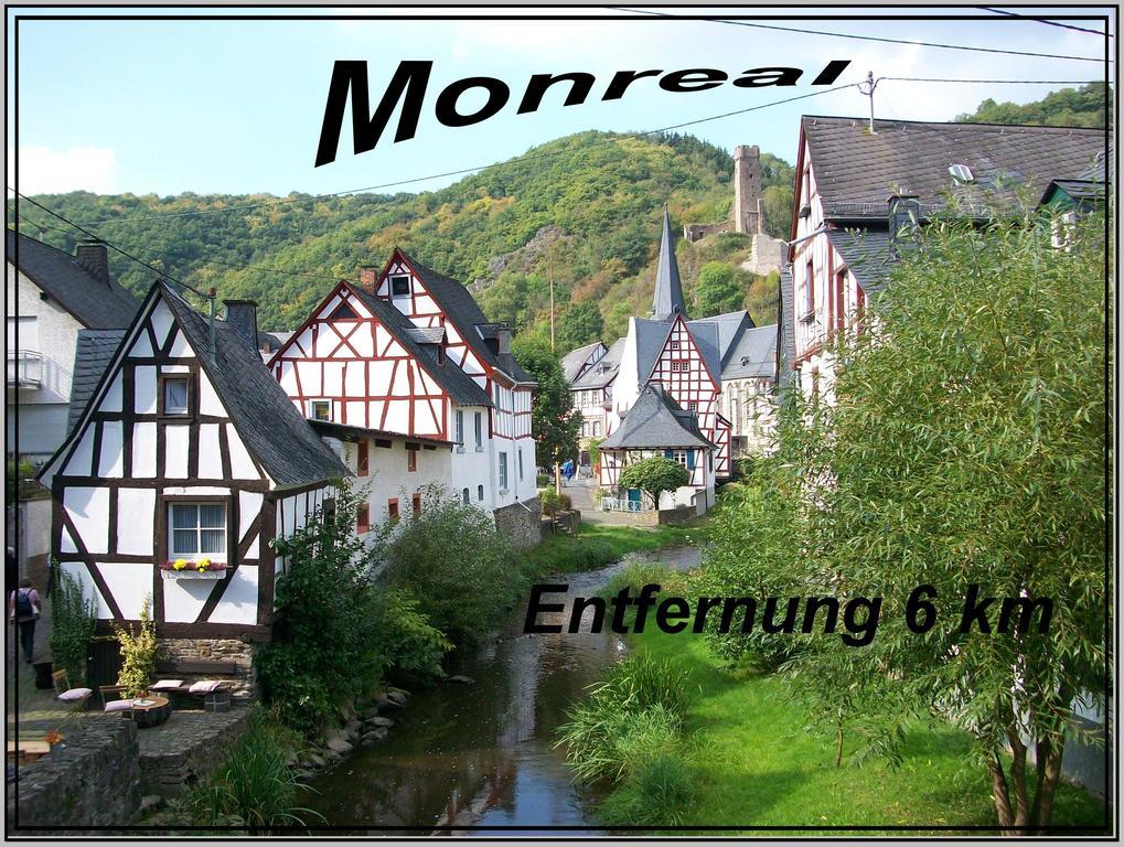 Ferienwohnung Schaefer Anschau 외부 사진